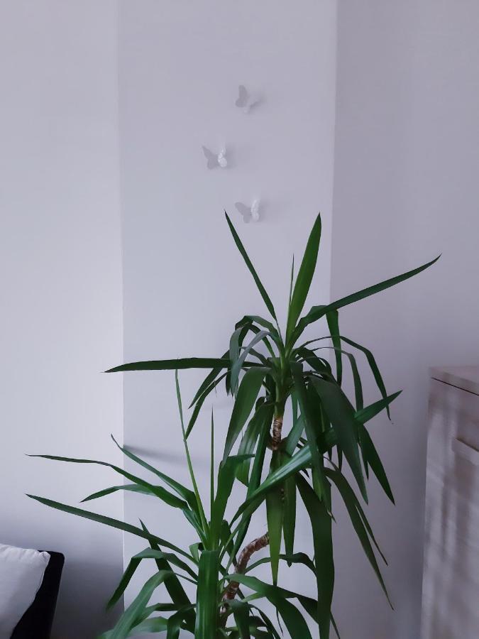 Mariel Holiday Home Levico Terme Buitenkant foto